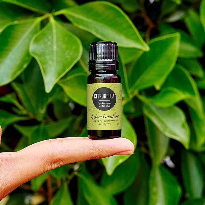 Edens Garden Citronella Essential Oil- 100% Pure Premium Grade, Undiluted, Natural, Therapeutic, Aromatherapy, The Best for Diffuser, Skin, Candle, Kid Safe 118 ml (4 fl oz) - Bloomnest