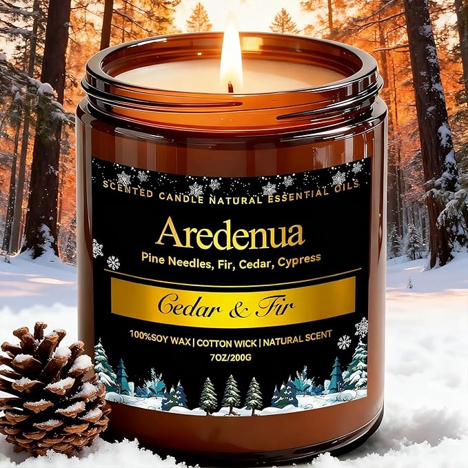 Winter Candles – Cedar & Fir Scented Candle | 7oz Soy Candles for Home Scented with 50H Burn - Evergreen Pine Christmas Candle for Home | Winter Aromatherapy Gifts for Women Men - Bloomnest