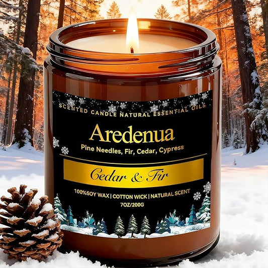 Winter Candles – Cedar & Fir Scented Candle | 7oz Soy Candles for Home Scented with 50H Burn - Evergreen Pine Christmas Candle for Home | Winter Aromatherapy Gifts for Women Men - Bloomnest