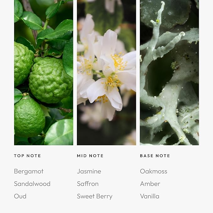 Aroma360 - Chandelier Pro Pod Fragrance Oil Blend | Hotel Inspired Luxury Essential Oil Diffuser | Aromatherapy Scent Diffuser Oil | Bergamot, Woodsy Sandalwood and Saffron 1.7 fl oz, 50 mL - Bloomnest