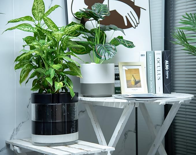 Phoenix Vine 10 Inch Self Watering Terracotta Planter, Black Terracotta Clay Pot with Glass Reservoir for Indoor Plants, Herbs, Flowers, Set of 1, 52-C-I-1 - Bloomnest