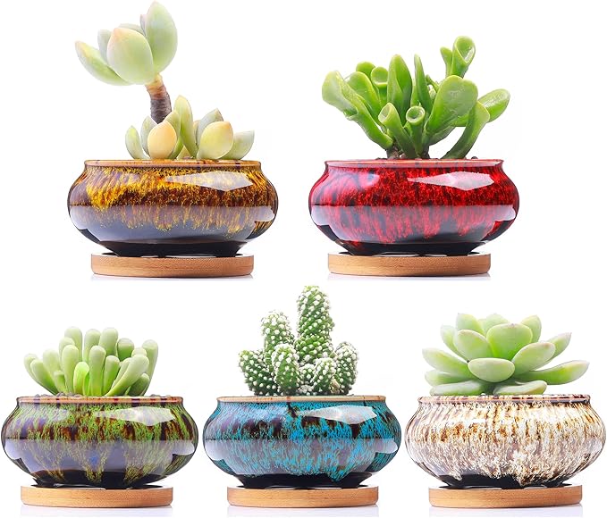 Cute Ceramic Succulent Garden Pots, Planter with Drainage and Attached Saucer, Set of 5 -Plants Not Included (Burner) - Bloomnest