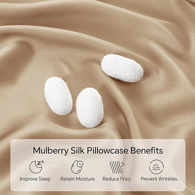 INFIIXSO Mulberry Silk Pillow Case King Size, Silk Pillowcase with Hidden Zipper 20"x36", Extraordinary Smooth and Soft Pillow Cases for Hair and Skin(Champagne, 1 Pack) - Bloomnest