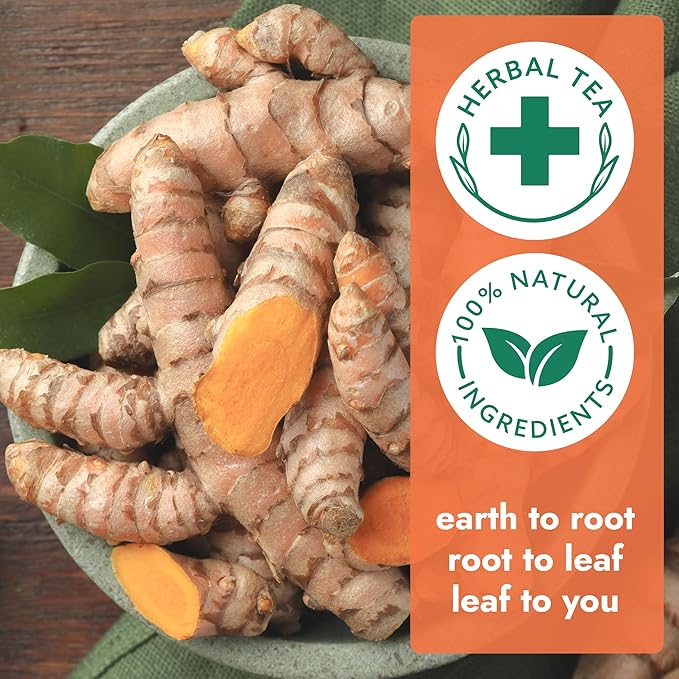 Vital Bloom 120 Tea Bags Ginger Turmeric Cinnamon Tea Bags, Supports Immune Health, Aids Digestion, 100% Natural Ingredients Blended Herbal Tea, Hot or Iced, Eco-Friendly Package, 120 Count - Bloomnest