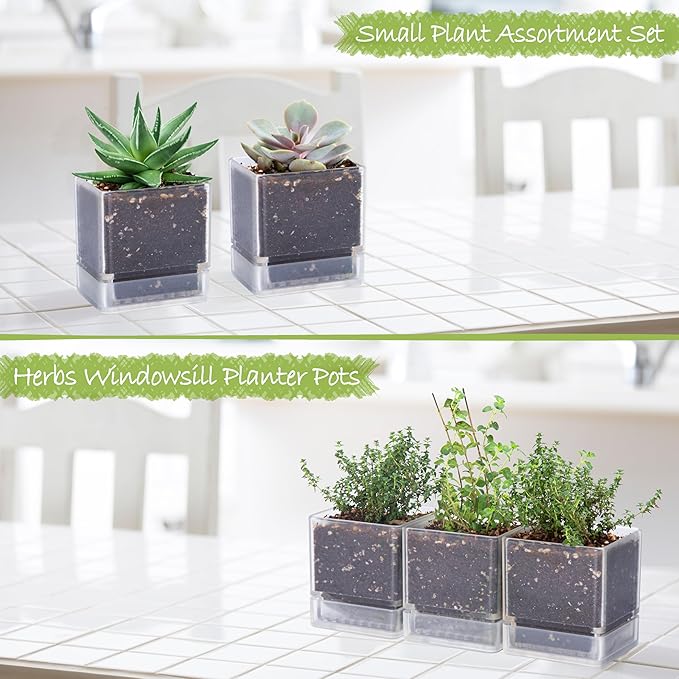 D'vine Dev 4 Inch Herb Planter Pot, Plastic Planter with Drainage Holes and Saucer, Modern Decorative Gardening Pot for Indoor Plants, Flowers, Herbs, Succulents, Clear, Set of 3, 76-Y-D-3 - Bloomnest
