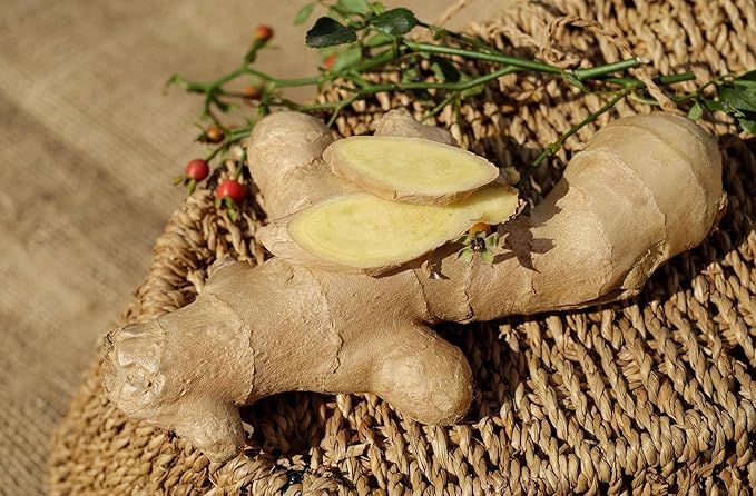 Ginger Tea Bags, 100% Pure Dry Ginger Root, 4.2gx40Count, Re-usable for Brew, Spicy Digestive Ease, Immune System Support Anytime, Eco-Conscious Tea Bags, Resealable Bag - Bloomnest