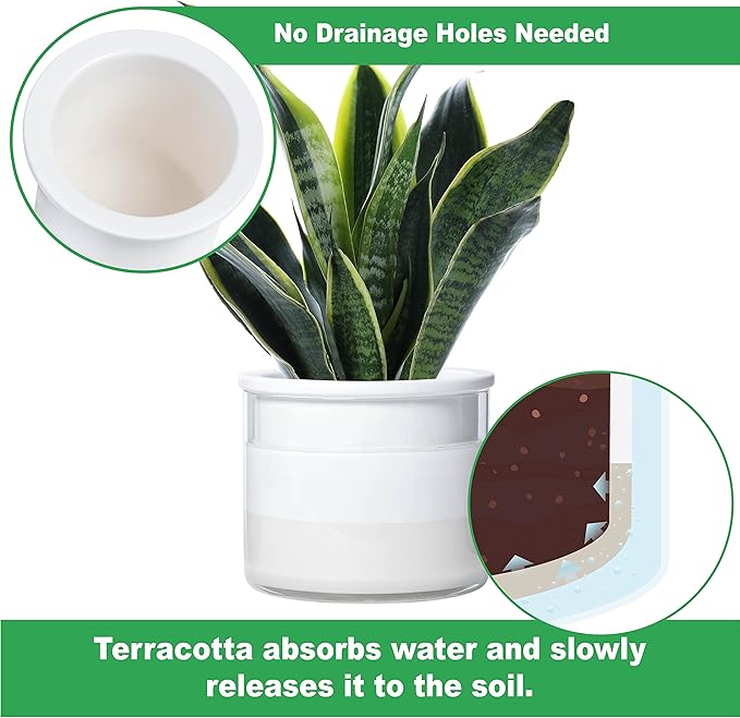 Phoenix Vine 6 Inch 4 Inch Self Watering Planter Pots, Design White Terracotta Pots for Plants, Indoor Cylinder Terra Cotta Pots with Glass Vase Set, 51-B-G-46 - Bloomnest