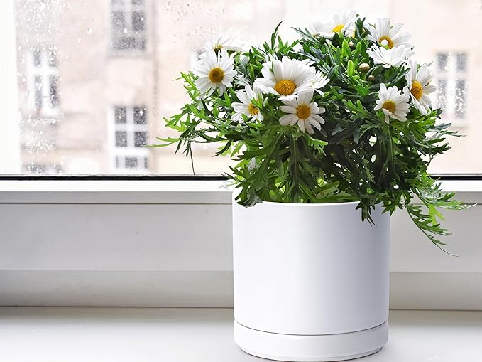 D'vine Dev 6.5 Inch & 8.2 Inch Ceramic Planter Pots for Plants with Drainage Hole and Saucer, Medium Plant Pots Set, White, 94-G-M-1 - Bloomnest