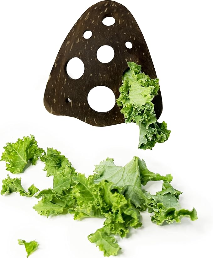 All-Natural Herb Stripper Tool for Fresh Herbs | 9-Hole Kale, Rosemary and Thyme Peeler | Eco-Friendly Kitchen Gadget | Metal & Plastic Free Herb Stripping Tool for Cilantro, Basil, Chard & More - Bloomnest