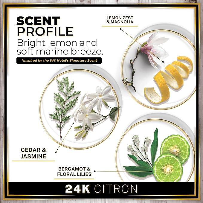 Urban Naturals Car Air Freshener Hanging + Vent Clip, 24K Citron Scent Diffuser, Long Lasting Car Fresheners Made in USA, Auto Accessories for women (1 Pack) - Bloomnest