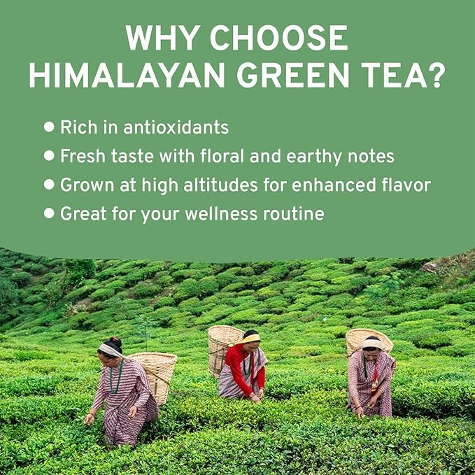 VAHDAM, Green Tea Leaves From Himalayas 170+ Cups (12oz) High Elevation Grown Green Tea Leaves From Himalayas | Pure Unblended Single Origin Green Loose Leaf Tea | Vacuum Sealed - Bloomnest