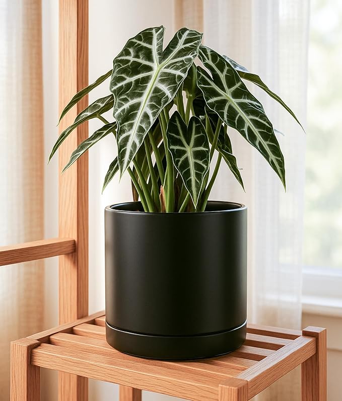 D'vine Dev 8.2 Inch & 10 Inch Ceramic Planter Pot for Plants with Drainage Hole and Saucer, Large Plant Pots Set, Black, 94-G-L-2 - Bloomnest