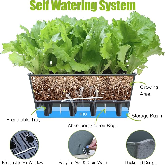 Window Box Planter 6 Pcs, 16.5 Inches Self Watering Rectangle Flower Plant Pots with Drainage Holes Trays, Vegetable Planters for Windowsill Patio Garden Balcony Porch Yard (Dark Green) - Bloomnest