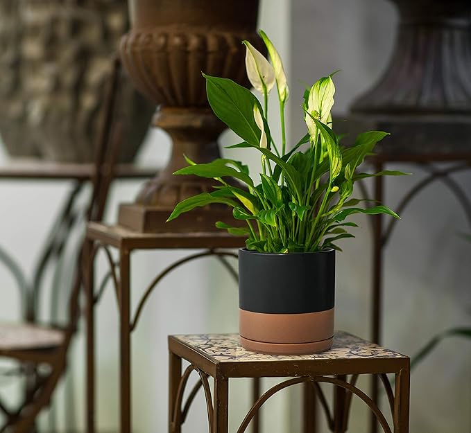 D'vine Dev 8 Inch & 10 Inch Ceramic Planter Pot for Plants with Drainage Hole and Saucer, Large Plant Pots Set, Black/Speckled Tan, 94-G-L-7 - Bloomnest