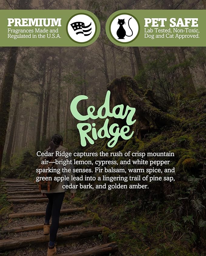 Shortie's Candle Company Cedar Ridge Wax Melts Multi Pack - 2 Highly Scented 3 Oz. Bars (6 Oz. Total) - Made with Natural Oils - Incense & Earth Air Freshener Cubes Collection ShortiesCandleCompany
