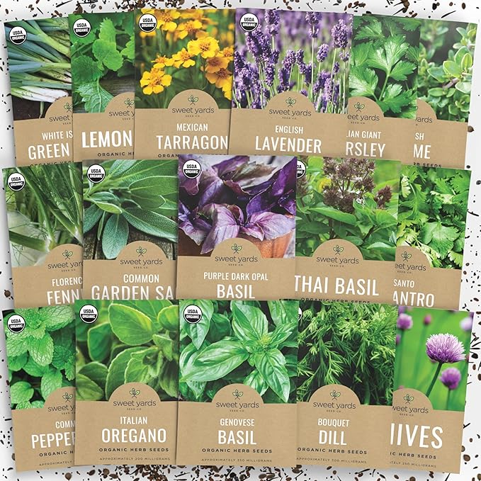 Organic Herb Seeds Variety Pack - 16 Individual Packs - 2025 Season - Basil, Cilantro, Dill, Thyme, Parsley and More! for Indoor & Outdoor Planting (Non-GMO, Certified Organic) - Bloomnest