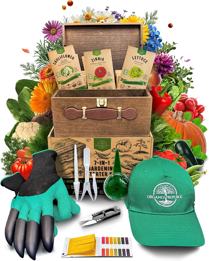 Organo Republic Medicinal & Tea Herb Seeds Variety Pack for Indoor & Outdoors - 75 Variety Pack. Non-GMO Heirloom Garden Seeds: Rosemary, Cilantro, Basil, Oregano, Parsley, Dill, Lavender, Catnip - Bloomnest