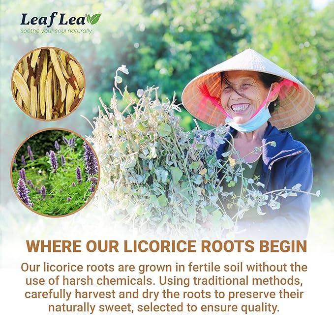 LeafLea 40 Premium Licorice Root Tea Bags, 100% Pure Licorice Spice Tea, Herbal Infusion to Digestive Comfort & Promote Respiratory Health, Te De Regaliz, Caffeine-Free, Sugar-Free, Soothing Flavor - Bloomnest