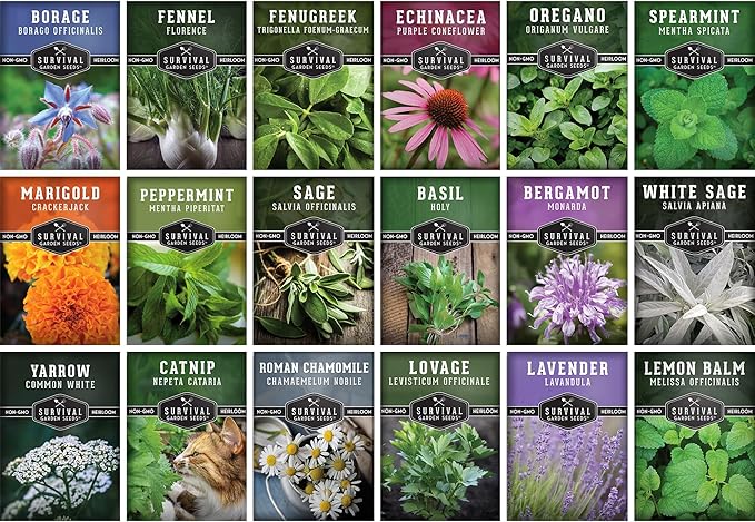 Medicinal Herb Seeds for Planting | 18 Seed Variety Pack of Heirloom, Non-GMO Herbs – Herbal Teas, Tinctures & Home Apothecary Garden Kit – Survival Garden Seeds - Bloomnest