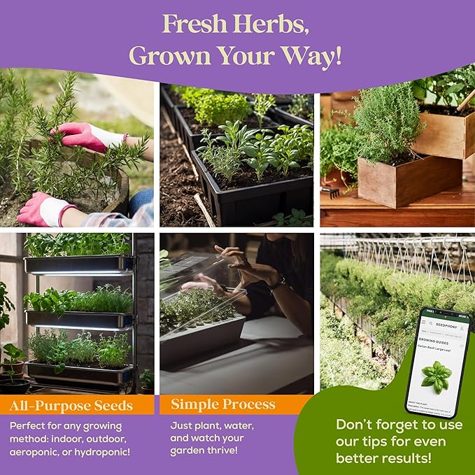 25 Culinary Herb Seeds Variety Pack - 13,055+ Non-GMO Heirloom Herbs Seeds for Planting Indoor & Outdoor: Rosemary, Basil, Catnip, Cilantro, Dill, Parsley, Oregano, Thyme, Mint, Tarragon, Lavender - Bloomnest