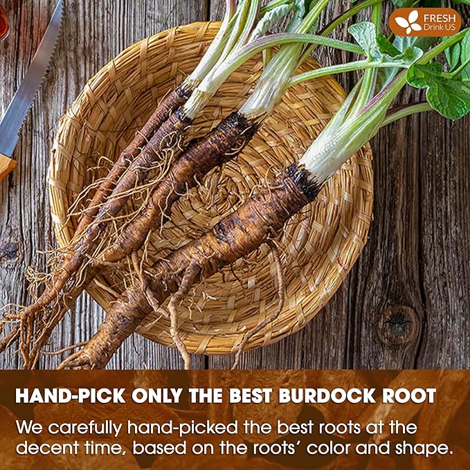 FreshDrinkUS Premium Burdock Root Tea Bags, 100% Natural & Pure. Burdock Herbal Tea, Made with Natural Material Tea Bags. No Sugar, No Caffeine, No Gluten, Vegan - Bloomnest