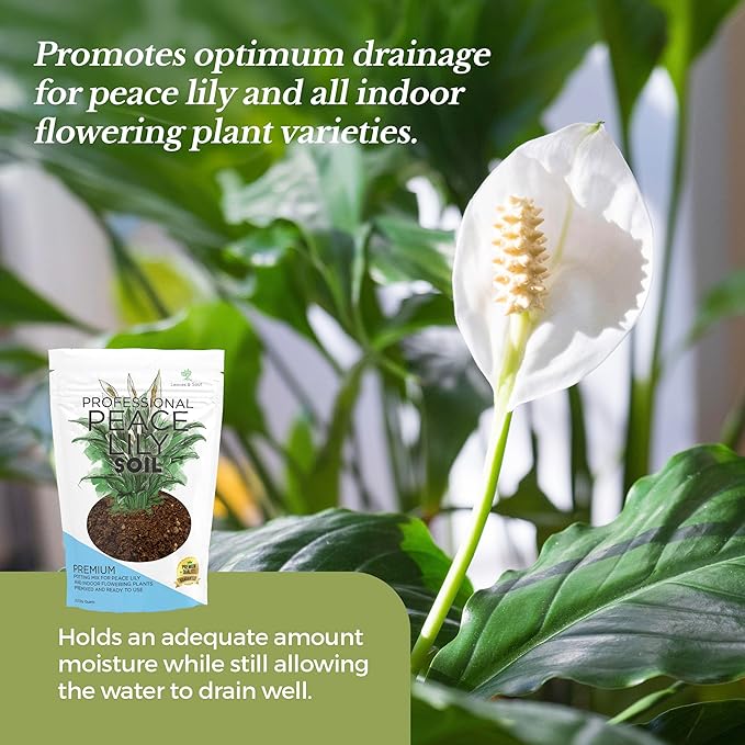 Professional Peace Lily Soil | Large 2.2 Quarts Ready to Use for Peace Lily Plants | Peat Moss, Coco Coir, Perlite, Dolomite | Made in USA - Bloomnest