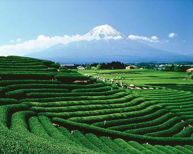 Palais des Thés - Alizes Winds Green Tea - Peach & Orange Blossom - Premium Tea Bags, Serves 20 Cups - Bloomnest
