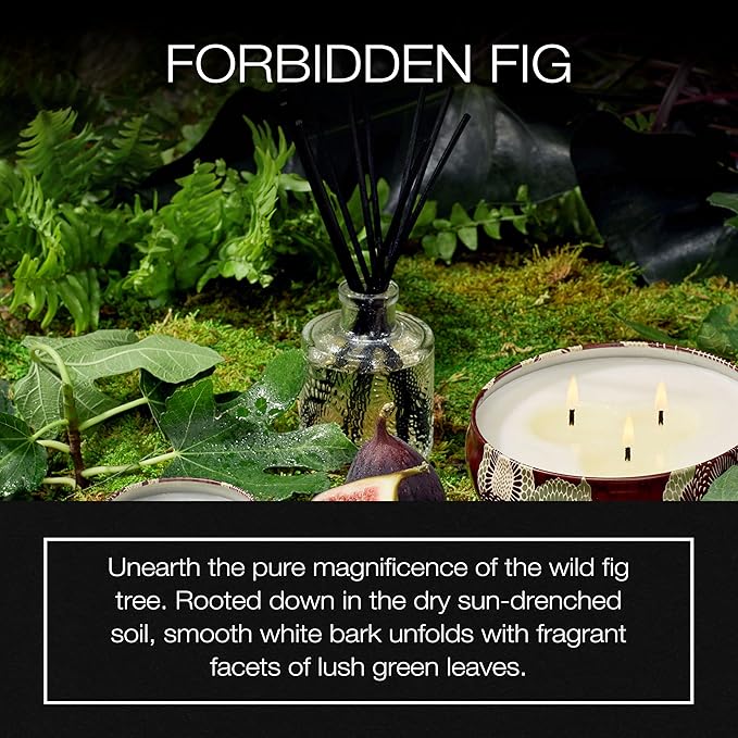 Voluspa Forbidden Fig Scented Reed Diffuser, 3.4 Oz, Luxury Fragrant Reed Diffusers for Home, Handcrafted in The USA
