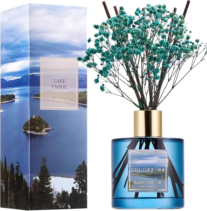 COCORRÍNA Reed Diffuser - Lake Tahoe 6.7 Fl.oz Reed Diffuser Set with 8 Sticks & Preserved Baby's Breath, Reed Diffuser for Home Bathroom Shelf Decor - Bloomnest