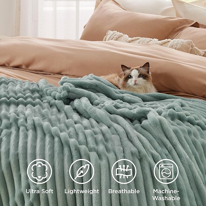 Bedsure GentleSoft Sage Green Fleece Blanket for Couch - Cozy Soft Blankets for Women, Cute Small Throws for Girls, 50x70 Inches - Bloomnest
