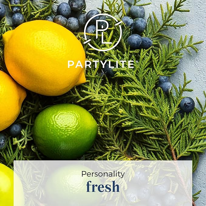 PartyLite 3-Wick Jar Candle, Highly Fragranced Clean Burning Glass Candle, 25-45 Hours Burn Time (Gin & Tonic) - Bloomnest