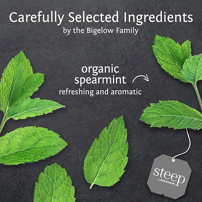 steep by Bigelow Organic Mint Herbal Tea, Caffeine Free, 20 Count (Pack of 6), 120 Total Tea Bags - Bloomnest