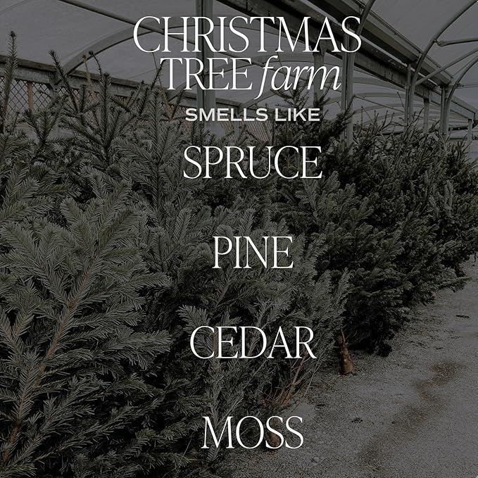 Sweet Water Decor Christmas Tree Farm Candle - Spruce, Cypress, Cedarwood, Pine Scented Candle - 15oz Green Jar, 70+ Hour Burn Time, Made in The USA - Soy Christmas Candles and Decor - Bloomnest