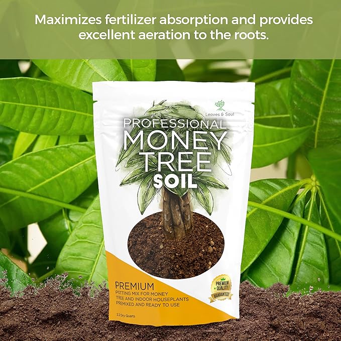 Professional Money Tree Soil | Large 2.2 Quarts Ready to Use for Money Tree Plants | Peat Moss, Coco Coir, Perlite, Dolomite | Made in USA - Bloomnest