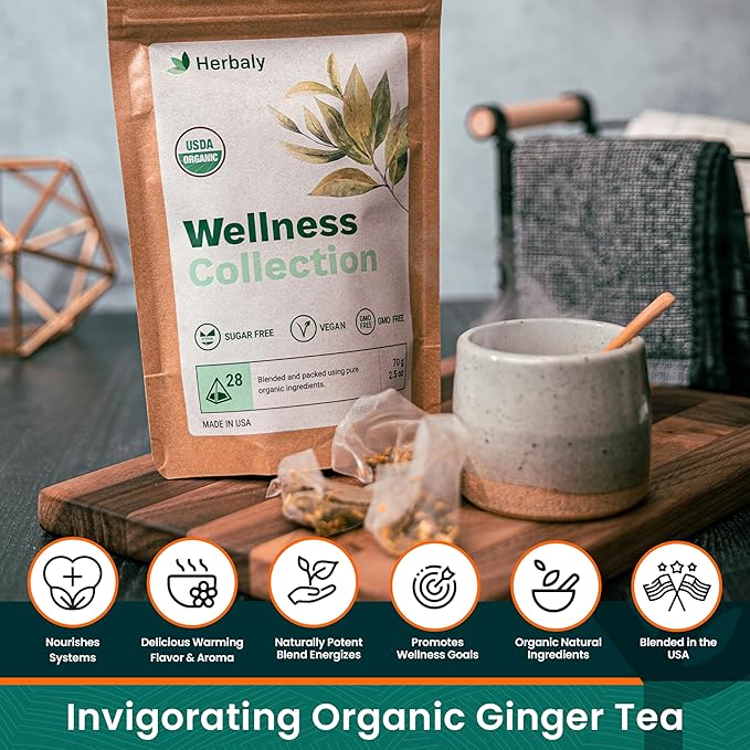 Herbaly Wellness Collection Organic Herbal Ginger Tea, 70 g, 28 Count Bag (Pack of 1) - Bloomnest
