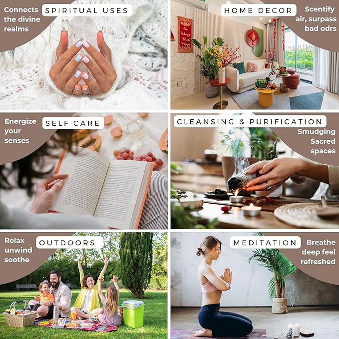Nag Champa|Super Hit|Dragons Blood|Palo Santo|Sandalwood|Californian White Sage Variety Pack Backflow Incense Cones for Waterfall Aromatic Smoke Fountain Haze Falls and Mat Bundle - Pack of 6 TRUMIRI