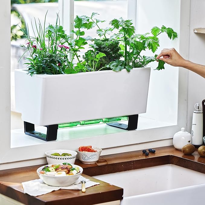 Glowpear Self-Watering Mini Bench Planter - 23.6" in Pot, Free Standing, UV Stable, Scalable, Indoor | Outdoor Pot with Water Gauge, for Home Kitchen Windowsill Gardening - Bloomnest