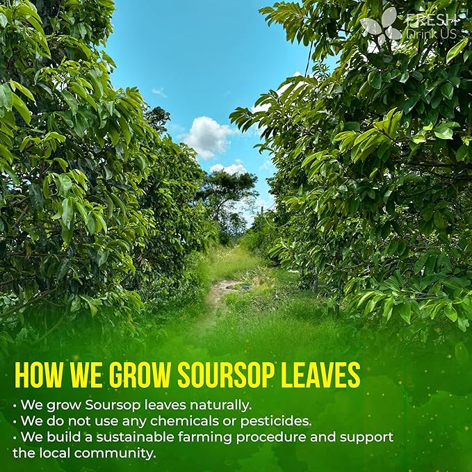 FreshDrinkUS, Premium 8oz Soursop Dried Leaves Loose Leaf Tea – 100% Pure Annona Muricata Leaves, Naturally Dried, Caffeine-Free Herbal Tea for Daily Enjoyment. Sugar-Free. Vegan - Bloomnest