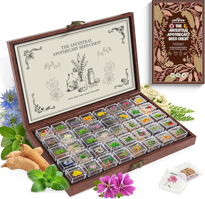 LUSH&DEW Medicinal Herb Gardening Gifts for Herbalists, Apothecary Seed Chest, 40 Varieties 36,000+ Non-GMO Heirloom Seeds for Planting Herbs in Raised Bed Windowsill, Survival Seed Kit for Herbal Tea