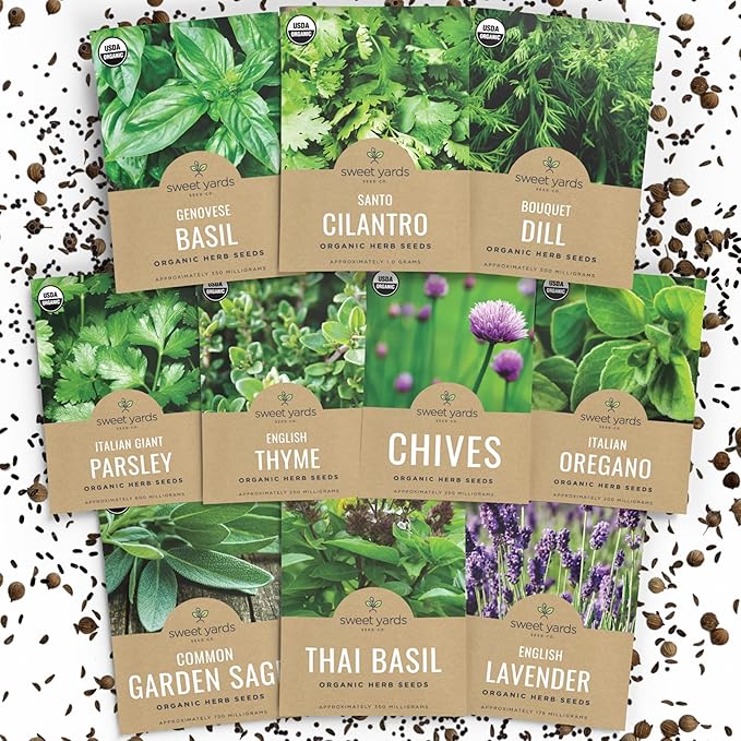 Organic Herb Seeds Variety Pack - 10 Individual Packs - 2025 Season - Basil, Cilantro, Dill, Thyme, Parsley and More! for Indoor & Outdoor Planting (Non-GMO, Certified Organic) - Bloomnest