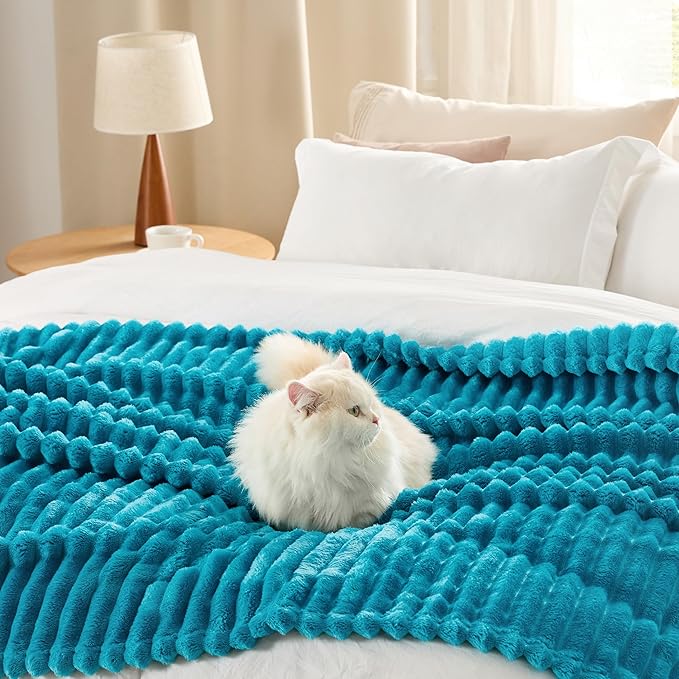 Bedsure GentleSoft Teal Fleece Blanket for Couch - Cozy Soft Blankets for Women, Cute Small Throws for Girls, 50x70 Inches - Bloomnest