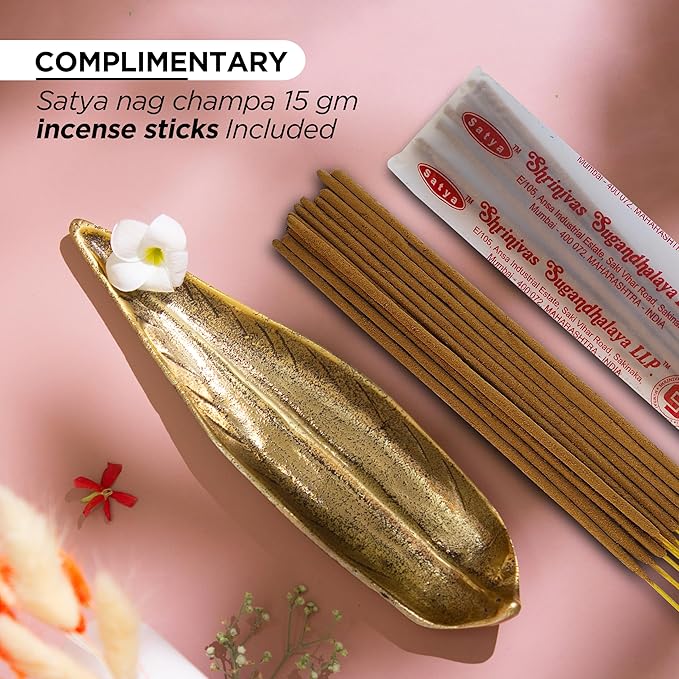 Raajsee Incense Holder Set with Nag Champa Incense Sticks 15gm,Curve Leaf Incense Stick Burner, Brass Incense Burner,Modern Stick Incense Holder for Yoga, Meditation,Home Décor Size 10x3 inch - Bloomnest