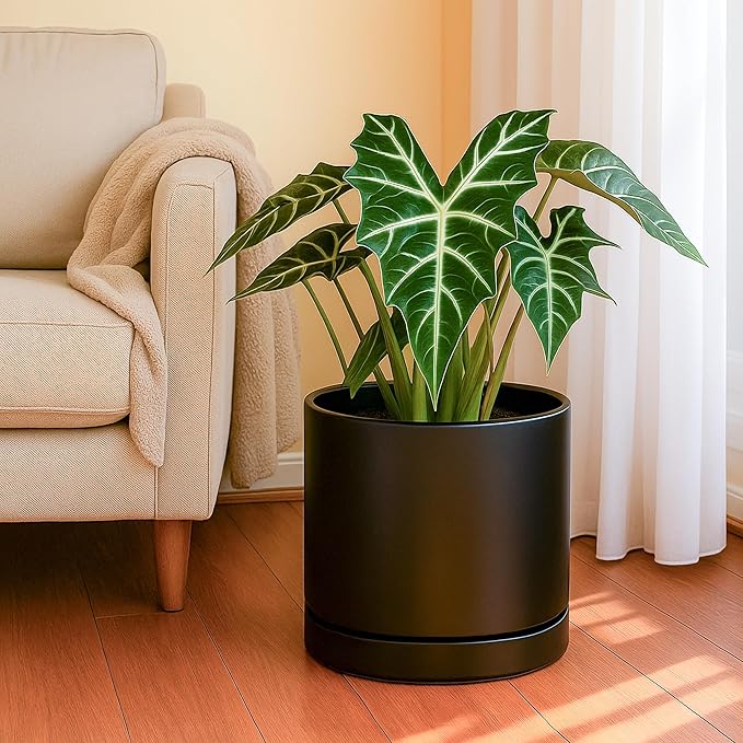 D'vine Dev 8.2 Inch & 10 Inch Ceramic Planter Pot for Plants with Drainage Hole and Saucer, Large Plant Pots Set, Black, 94-G-L-2 - Bloomnest