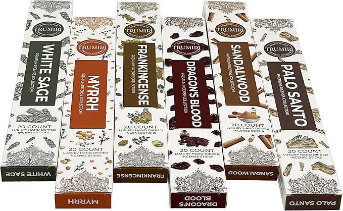 Woody Incense Sticks Variety Pack - 120 Insence-Sticks (6 Incents x 20 Insense) - White Sage Palo Santo Dragons Blood Sandalwood - Natural Inscents-Sticks Non Toxic Cleansing Incienso + Burner Holder - Bloomnest