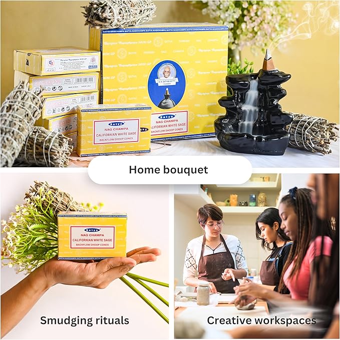 Californian White Sage Backflow Incense Cones for Waterfall Aromatic Smoke Fountain Haze Falls and Mat Bundle - Pack of 12 TRUMIRI