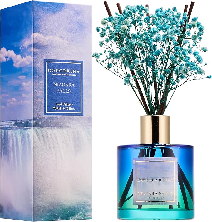 COCORRÍNA Reed Diffuser - Niagara Falls 6.7 Fl.oz Reed Diffuser Set with 8 Sticks & Preserved Baby's Breath, Reed Diffuser for Home Bathroom Shelf Decor - Bloomnest