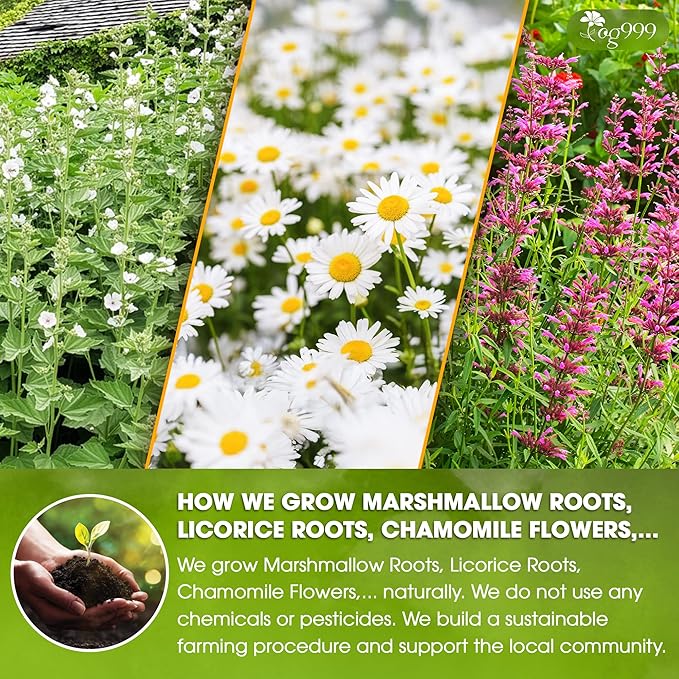TOG999, Premium Digestive Tea Bags | 40 Count | Herbal Blend with Marshmallow Root, Licorice Root, Chamomile Flower, Ginger, Fennel Seed, Peppermint & Cinnamon – Smooth & Comforting Herbal Tea - Bloomnest
