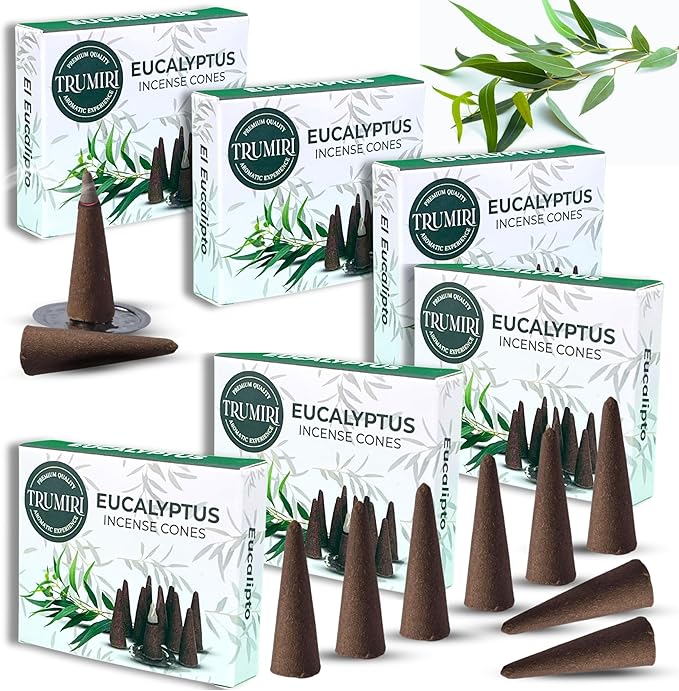 Eucalyptus Incense Cones - Total 60 Cone Incense - Six Packs of 10 Insence Cones - Incense Cones Scented - Cone Incense Scents - Insense Cones - Inscent Cones TRUMIRI