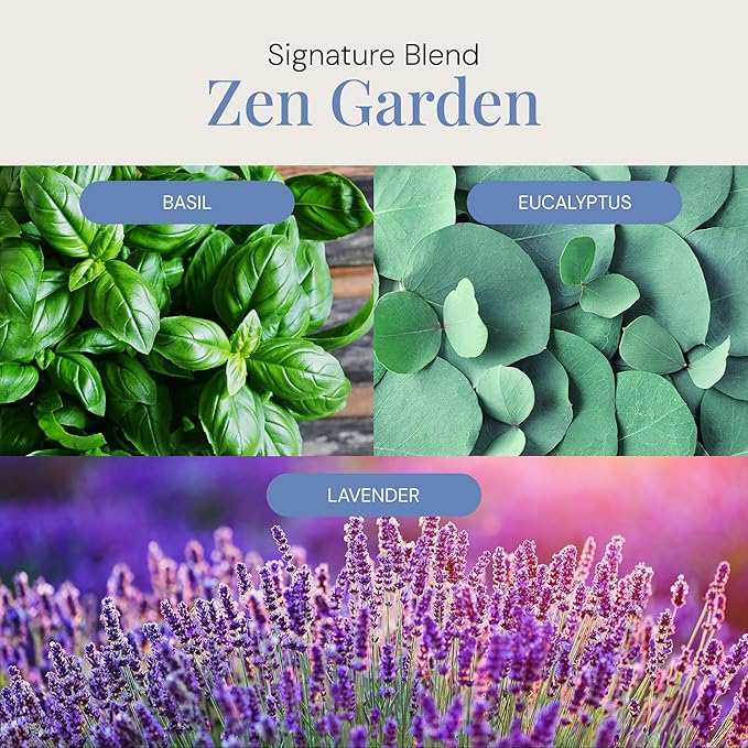 Zen Garden Aroma Oil, Essential Oils Blend for Diffusers & Scent Machines, Citrus, Delicate Florals, Warm Tea, Aromatherapy, Cold Air Diffuser Compatible, 300 mL - Bloomnest