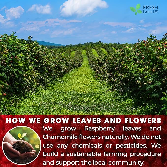 FreshDrinkUS, 75 Bags Premium Raspberry Leaf Teawith Chamomile Flavor, Eases Menstrual Cramps & Supports Healthy Pregnancy, Naturally, Caffeine-Free, Sugar Free, Vegan - Bloomnest